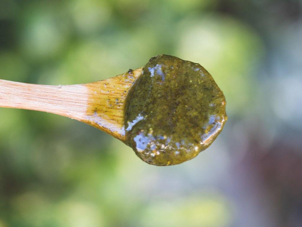 Malachite - Genmaicha - Crème des Crèmes Paris